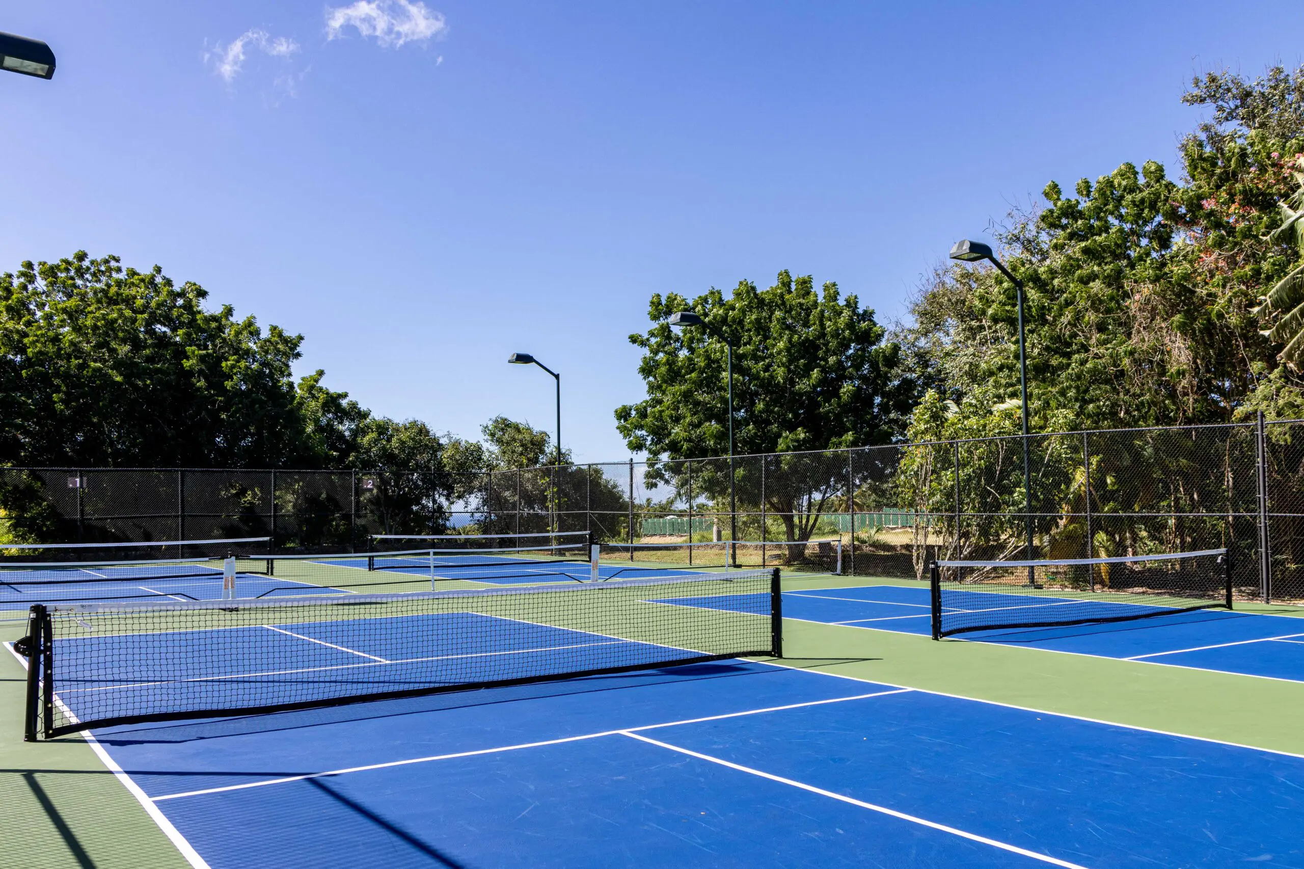 State-of-the-art courts at our Caribbean pickleball resort