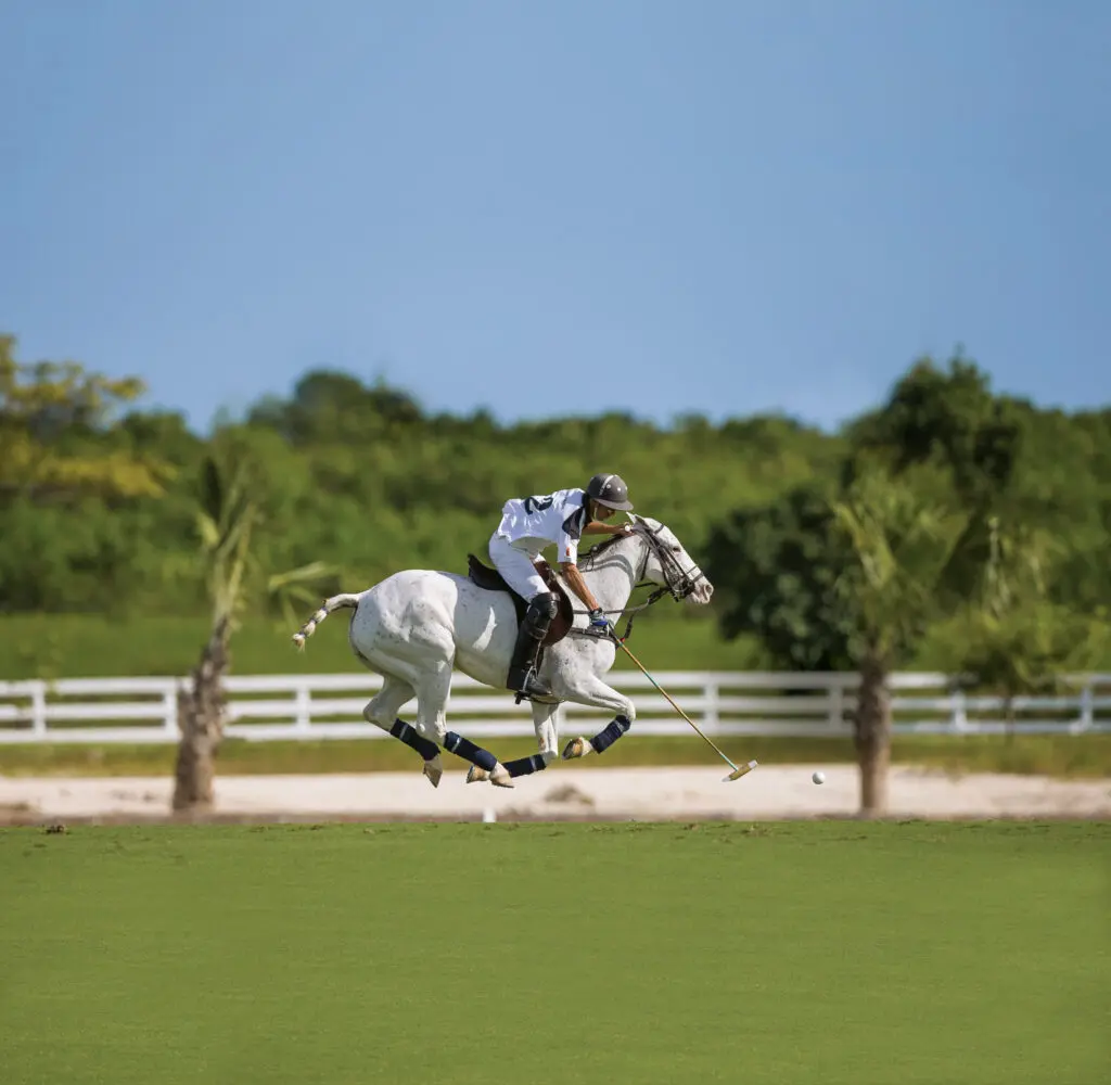 A polo player at our wellness resort in the Dominican Republic