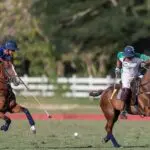Casa de Campo Equestrian and Polo Activities in the Dominican Republic
