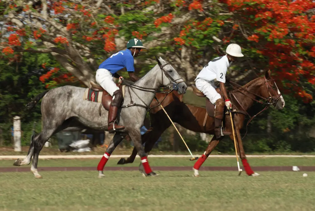 Two polo players at our luxury resort La Romana