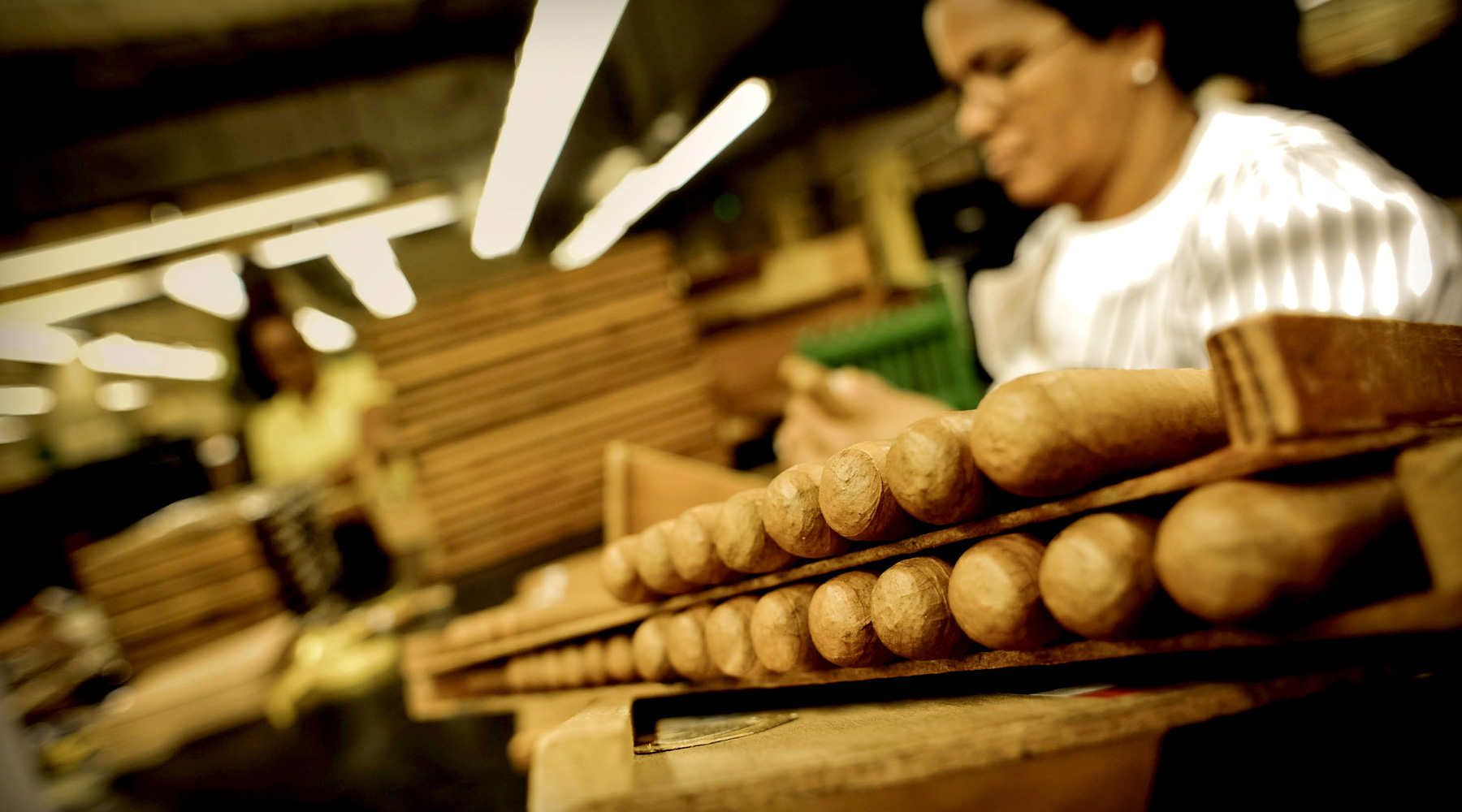 Admire el arte de hacer cigarros por maestros artesanos.