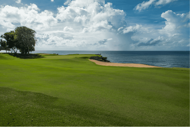 A view of the Caribbean Sea from the Teeth of the Dog® golf course. 