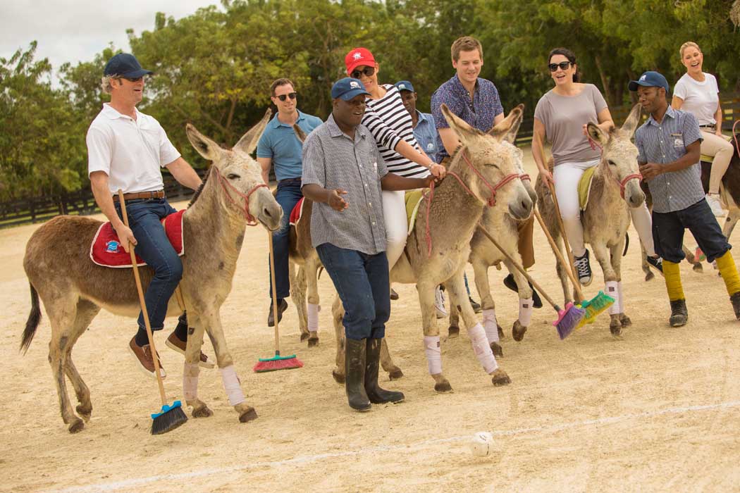 Donkey Polo is a great and fun activity for groups, families and friends traveling together