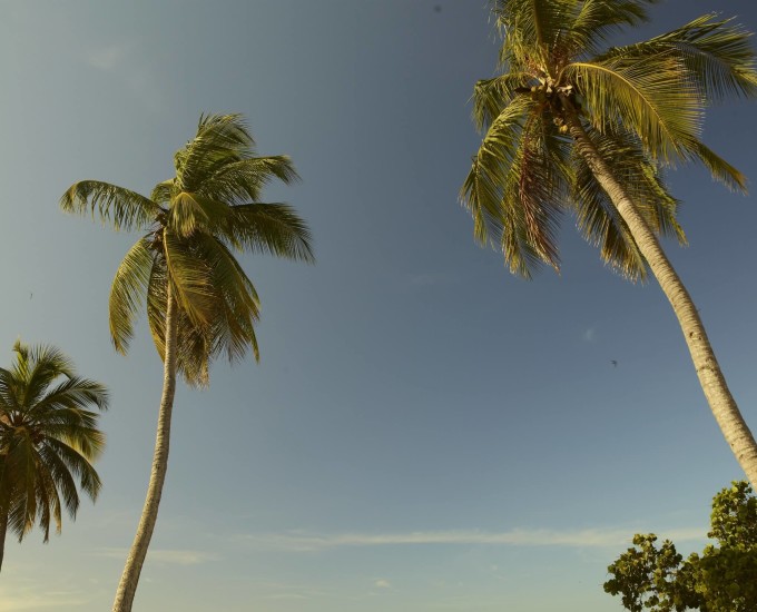 Casa de Campo Resort & Villas - Minitas Beach