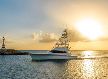 Caribbean Marina at Casa de Campo. Ideal for boat rentals and fishing tournaments.