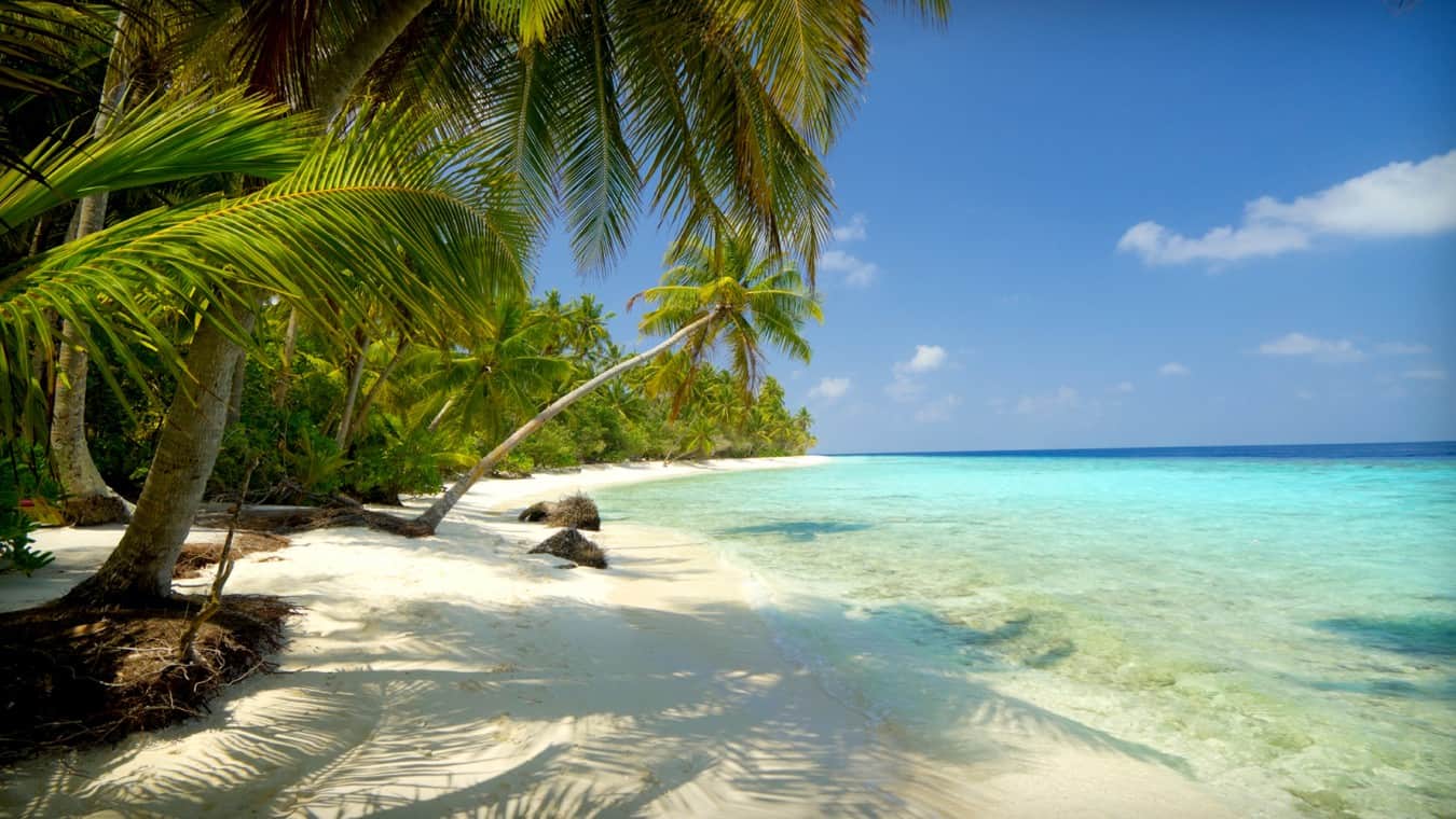 Playa Palmilla - Isla Saona