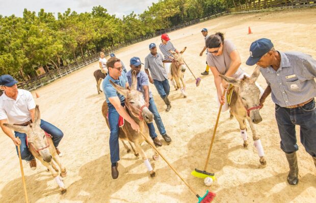 donkey-polo Donkey Polo Experience at Casa de Campo Resort & Villas