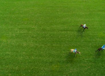 Equestrian and Polo at Casa de Campo Resort & Villas Polo Club in the Dominican Republic