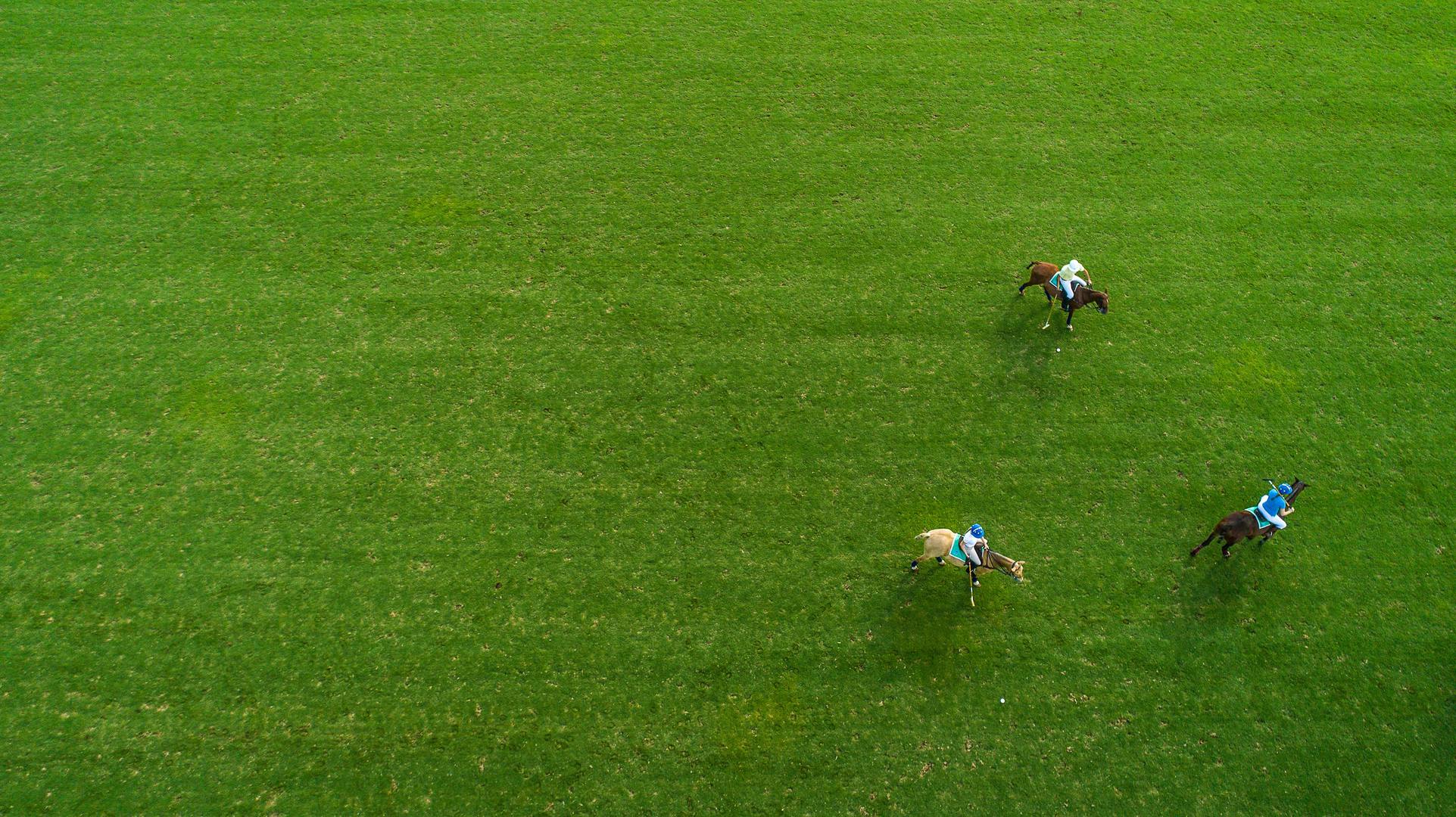 Equestrian and Polo at Casa de Campo Resort & Villas Polo Club in the Dominican Republic