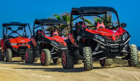 buggies-excursions buggies-excursions
