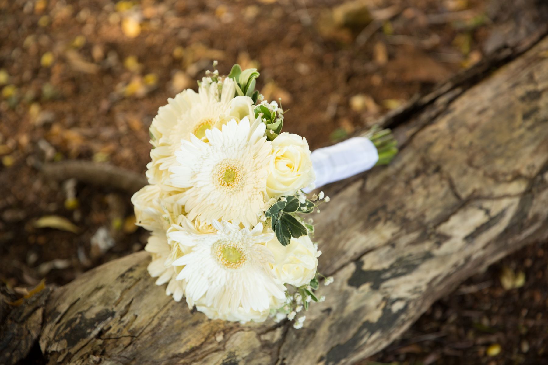 Paquete de bodas caribeño de Simply Believe