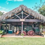 Equestrian and Polo at Casa de Campo Resort & Villas Polo Club in the Dominican Republic