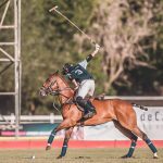 Casa de Campo Equestrian and Polo Activities