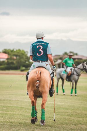 Equestrian and Polo