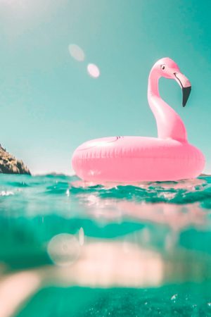 water-sports-flamingo