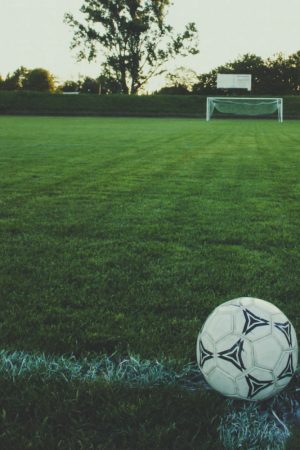 soccer-ball-field-vertical Soccer ball on the field