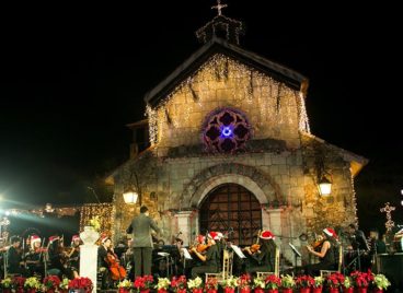 Christmas-Tree-Lighting