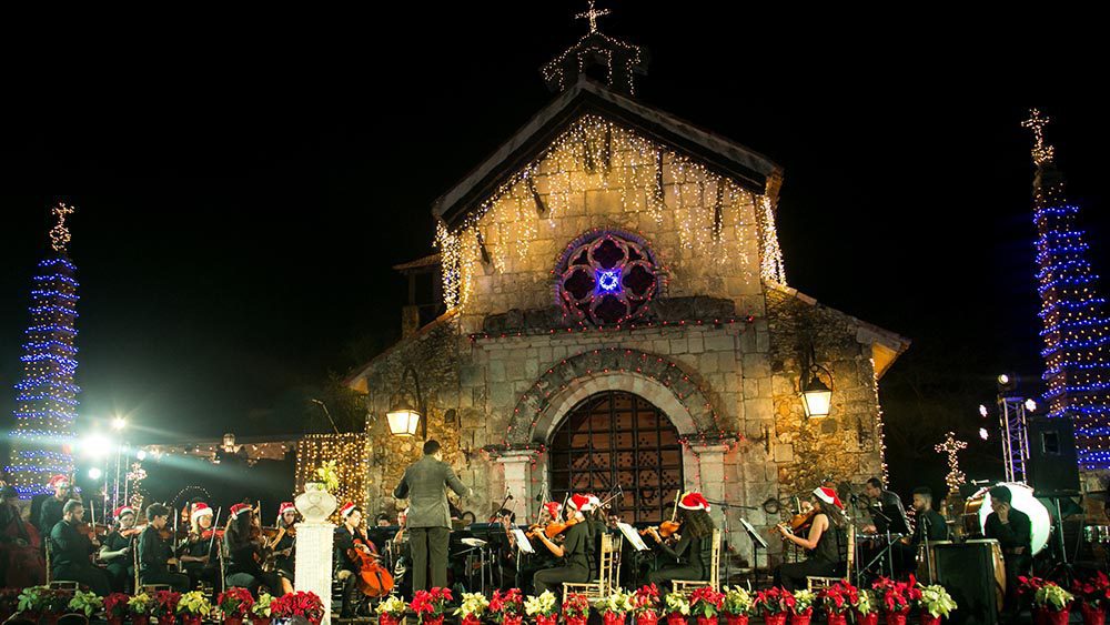 Christmas-Tree-Lighting