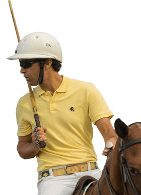 Polo and Equestrian