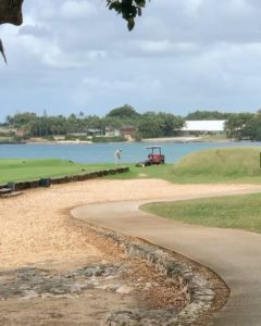 View of Teeth of the Dog®  and the Caribbean Sea, by Ted Gushue