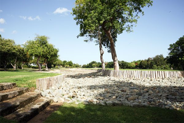 Newslette-TOTD-Updates-Walls Teeth of the Dog Restoration - August 2025