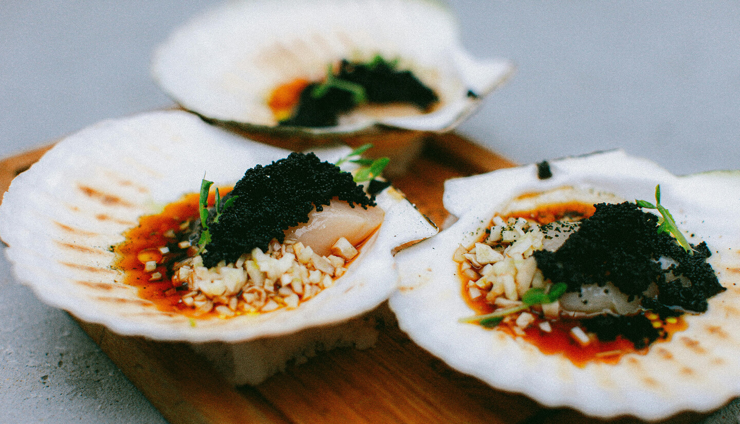 Hurricane Maria Update