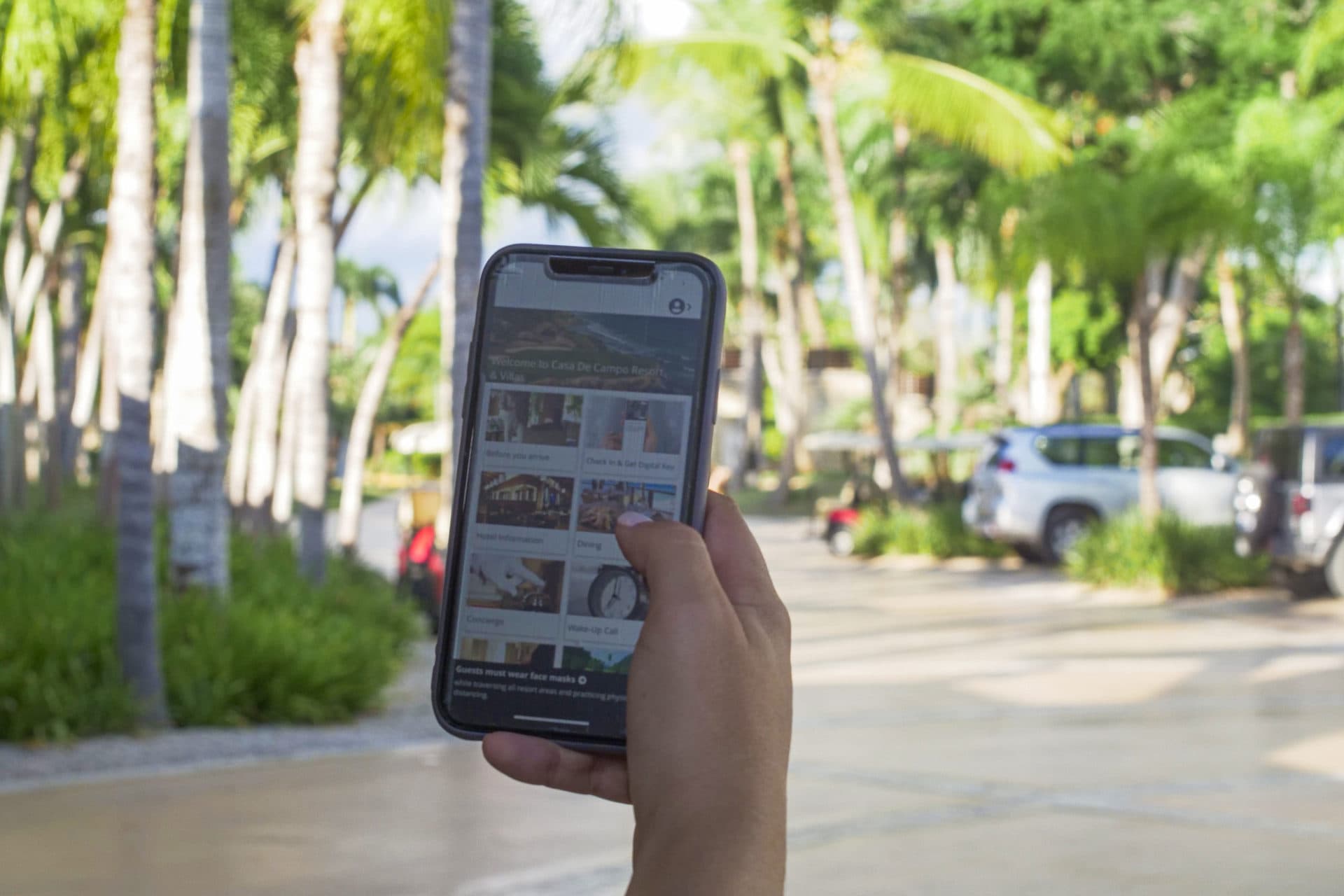 5 cosas que puede hacer desde su teléfono durante sus vacaciones en Casa de Campo