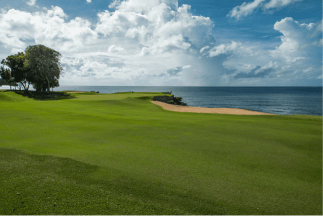 A view of the Caribbean Sea from the Teeth of the Dog®  golf course. 